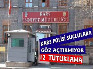 Kars Polisi Suçlulara Göz Açtırmıyor,12 Tutuklama