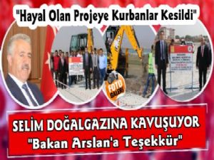 Selim'de Doğalgaz İçin İlk Kazma Kurban Kesilerek Vuruldu