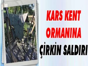 Kent Ormanındaki Kamelyaları Kırdılar