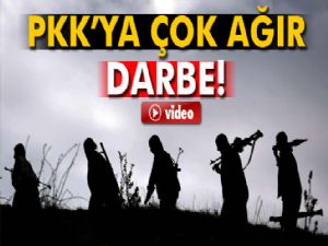 Lice'de PKK'ya 27 milyon 211 bin TL'lik darbe