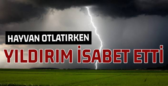 Hayvan Otlatırken Yıldırım İsabet Etti