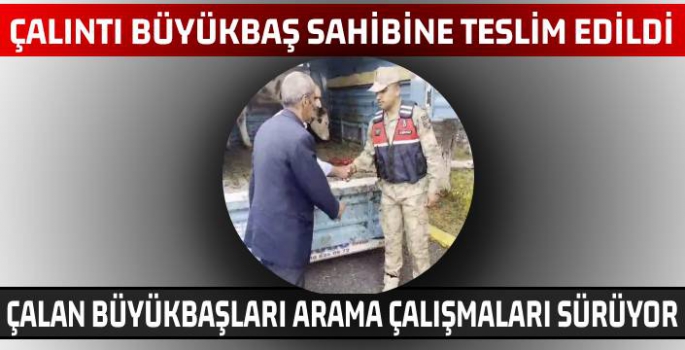 Jandarma Yol Kontrolünde Yakaladı!