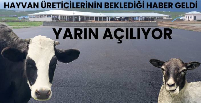 Kars Hayvan Pazarı Yarın Açılıyor