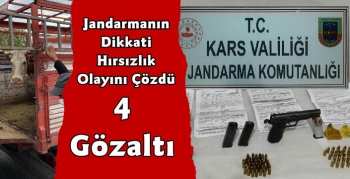 Kars Jandarmadan Hayvan Hırsızlarına Operasyon