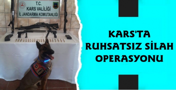 Kars Jandarmadan Silah Operasyonu