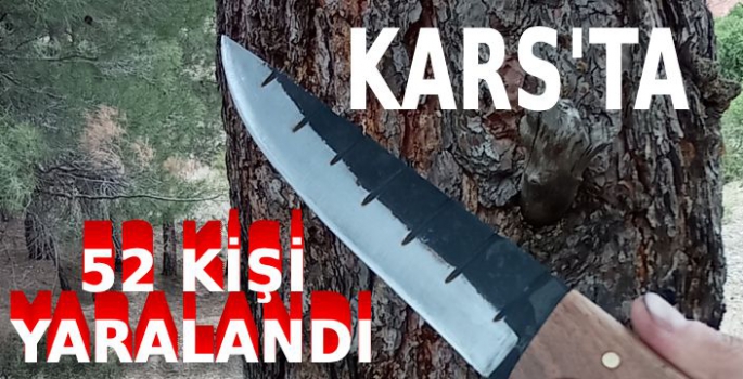 Kars'ta 52 Kişi Yaralandı