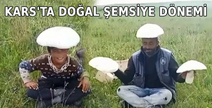 Kars'ta Doğal Şemsiye Dönemi 