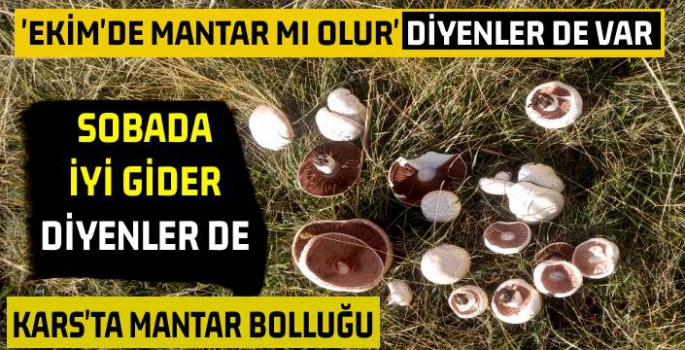 Kars'ta Ekim Ayında Mantar Bolluğu