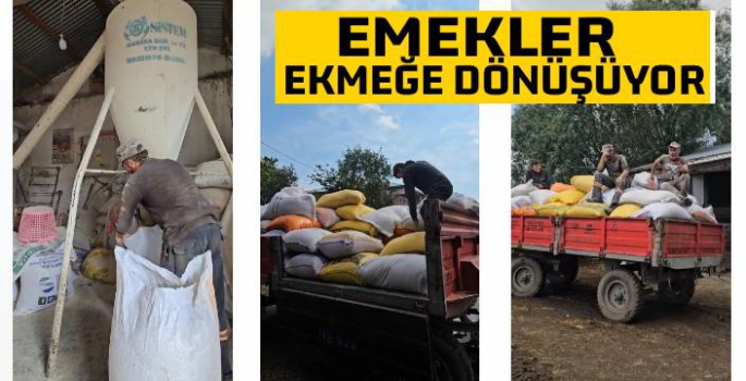 Kars'ta emekler ekmeğe dönüşüyor