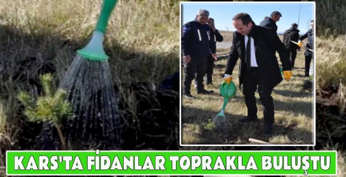 Kars'ta fidanlar toprakla buluştu