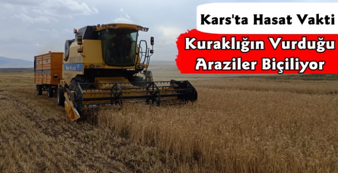 Kars'ta Köylülerin Hasat Mesaisi