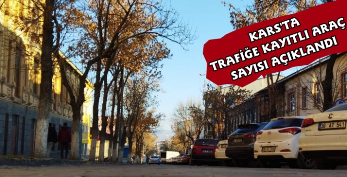 Kars'ta Trafiğe Kayıtlı Araç Sayısı 45 Bin 954 Oldu