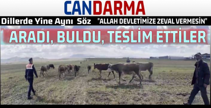 Kayıp Hayvanlar Jandarma Tarafından Sahiplerine Teslim Edildi