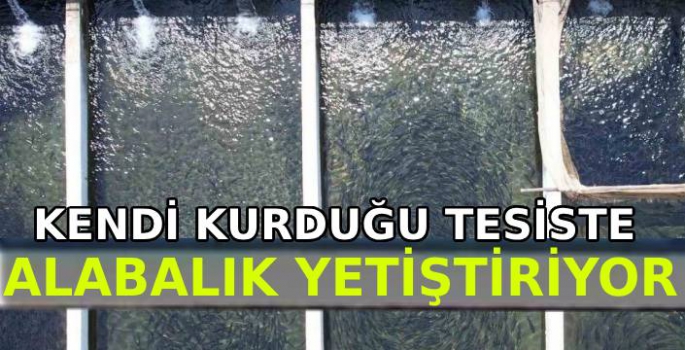 Keklik Deresinde Balık Üretiyor