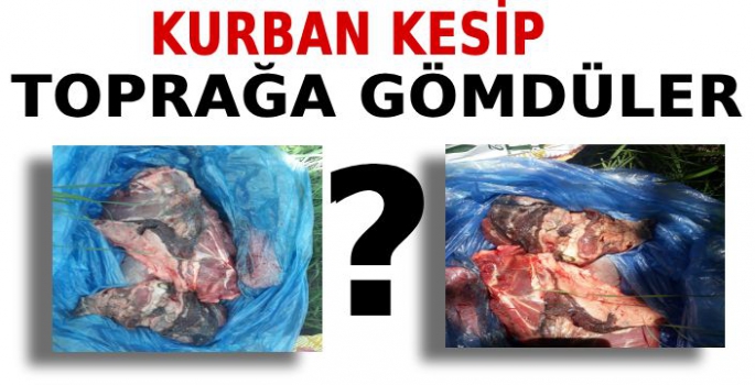 Kurban Kesip Toprağa Gömdüler  