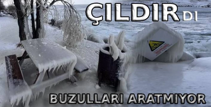 La Nina Çıldır'ı Vurdu!