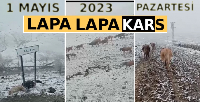 Lapa Lapa Yağan Kar, Kars'ı 1 Mayıs'ta Beyaza Bürüdü