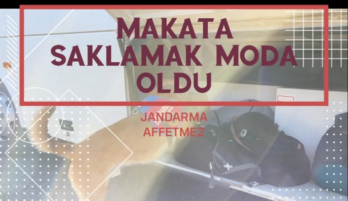 Makata Saklamak Moda Oldu