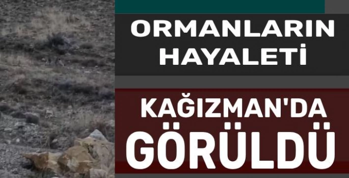 Ormanların Hayaleti Kazğızman'da Görüldü!