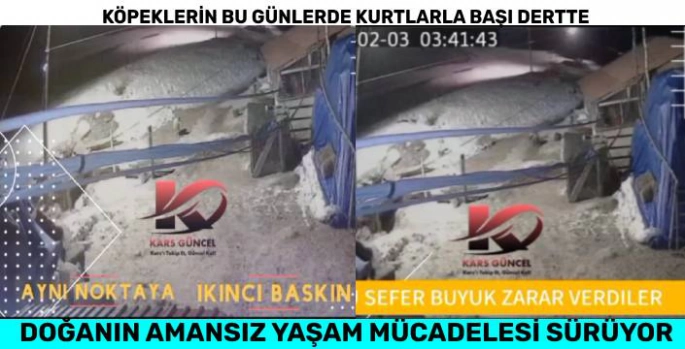 Saniyeler İçerisinde Büyük Zarar Verdiler!