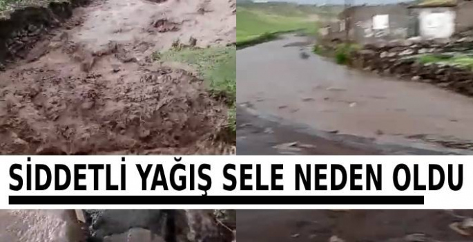 Şiddetli Yağış Sele Neden Oldu, Tarım Arazileri Zarar Gördü   