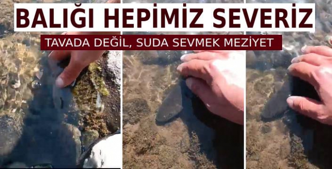 Suda Balığı Seven Vatandaşın Paylaşımı Büyük İlgi Gördü