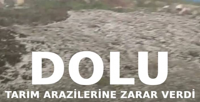 Tarım Arazilerini Dolu Vurdu 