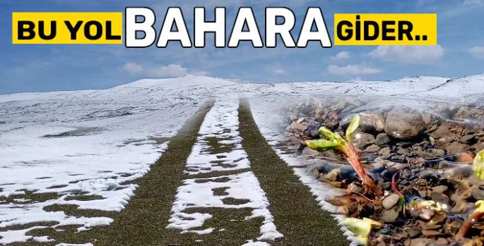 Yeşil Beyaz Bir Masal: KARS